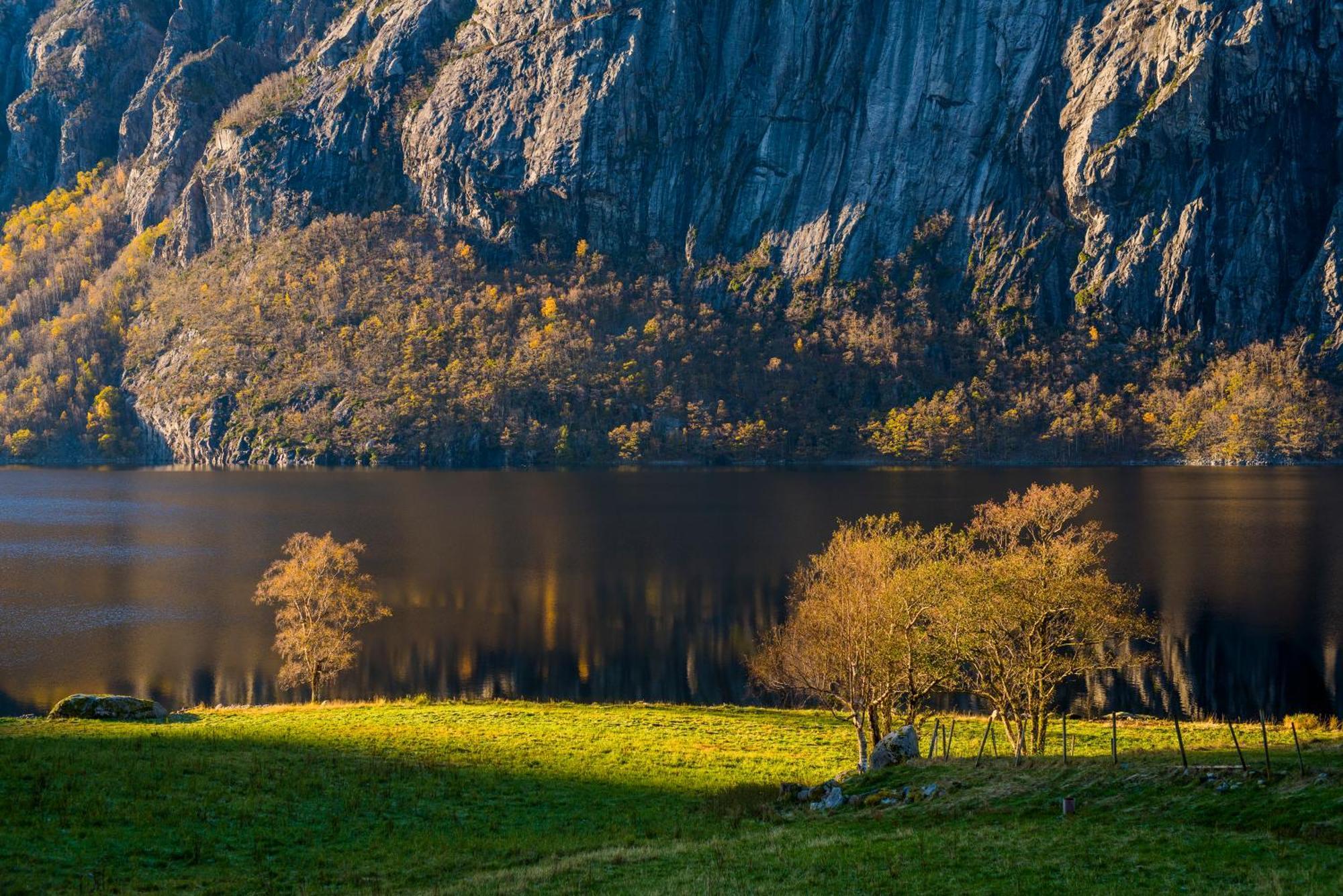 Hytte Ved Preikestolen Forsand Kültér fotó