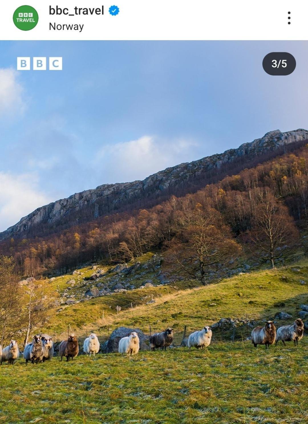 Hytte Ved Preikestolen Forsand Kültér fotó